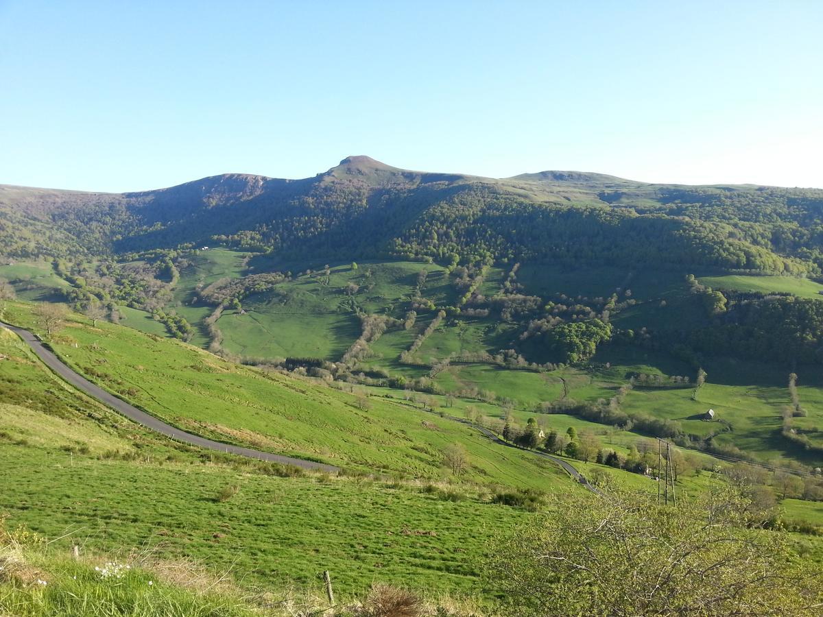 Auberge du Col de Neronne Hotel Le Falgoux Buitenkant foto